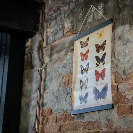 Peaceful & Romantic In Maasland