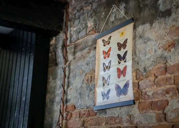 Peaceful & Romantic In Maasland